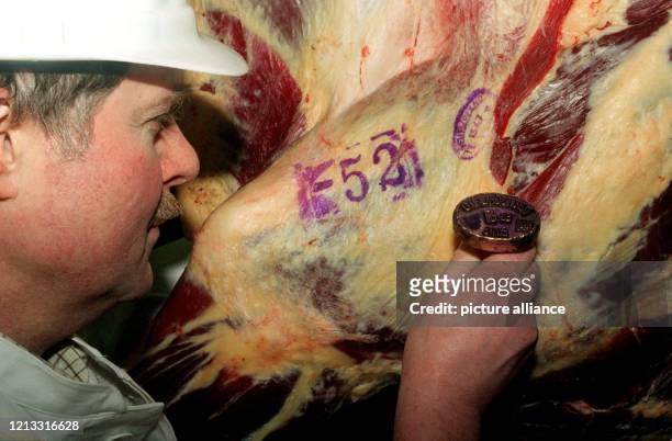 Tierarzt Klaus Schmaldt stempelt am 24.1.1997 im Essener Frischezentrum eine Rinderhälfte mit einem EU-Gütestempel. Der Stempel garantiert dem...