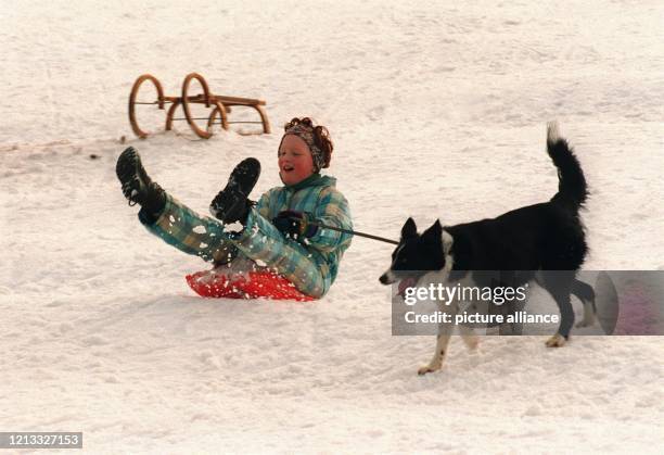 Zusammen mit ihrem Hund rodelt dieses Mädchen am Sonntag morgen bei Oberreifenberg im Taunus den Rodelhang hinunter. Zahlreiche Menschen nutzten am...