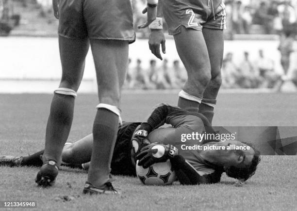 Der algerische Torhüter Mehdi Cerbah liegt verletzt am Boden. Außenseiter Algerien gewinnt bei der Fußball-Weltmeisterschaft in Spanien am in Gijon...