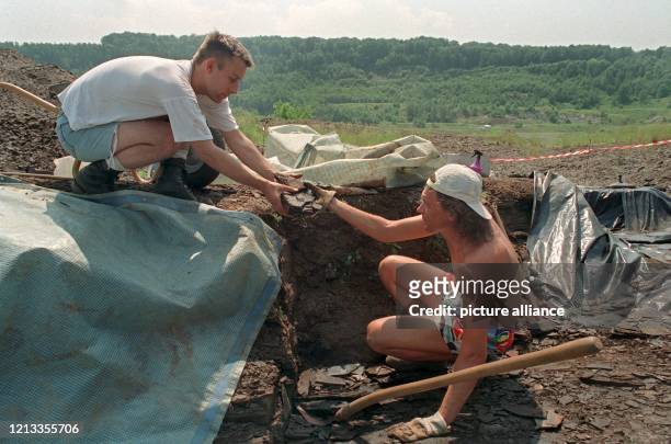 Grabungsstellenleiter Bruno Behr und Geografie-Student Walter Geibert suchen am 12. Juni 1996 im Ölschiefer der Grube Messel bei Darmstadt nach...