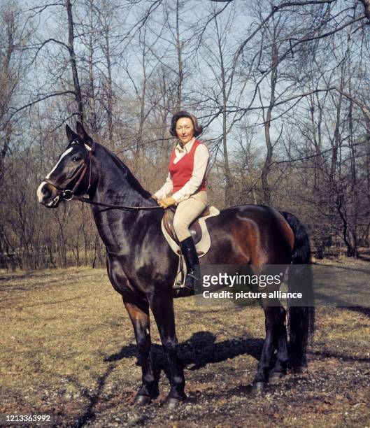 Die deutsche Schriftstellerin Utta Danella hoch zu Pferde bei einem Ausritt in einem Wald bei München. Aufnahme von 1975.