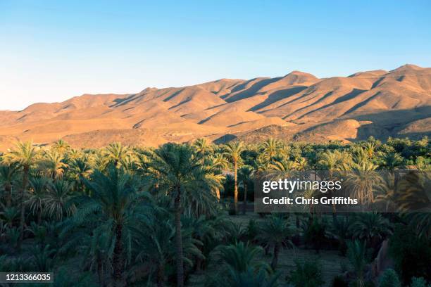 agdz, draa valley, southern morocco - atlas mountains stock pictures, royalty-free photos & images