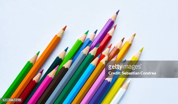 color pencils isolated on white background.close up. - writing instrument bildbanksfoton och bilder