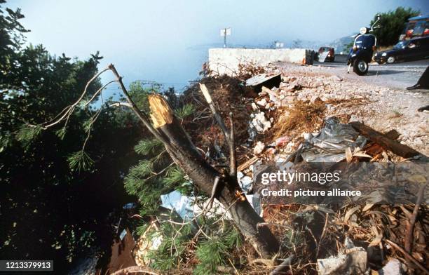 Blick auf die Unfallstelle, an der Fürstin Gracia Patricia von Monaco verunglückte, aufgenommen am 18.9.1982. Vor 20 Jahren, am 14. September 1982,...