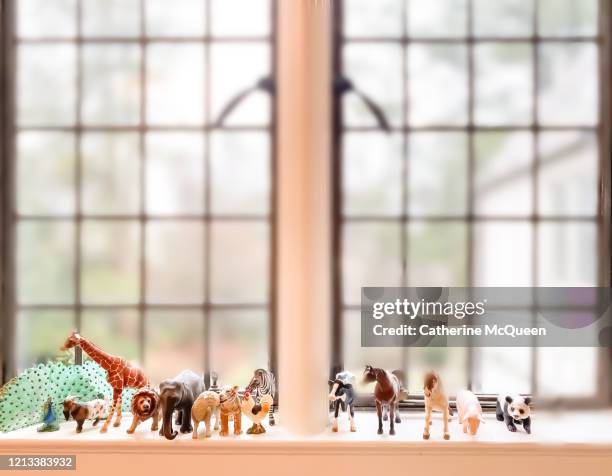 animal figurines on interior window sill ledge in child’s bedroom - toy animal stock pictures, royalty-free photos & images