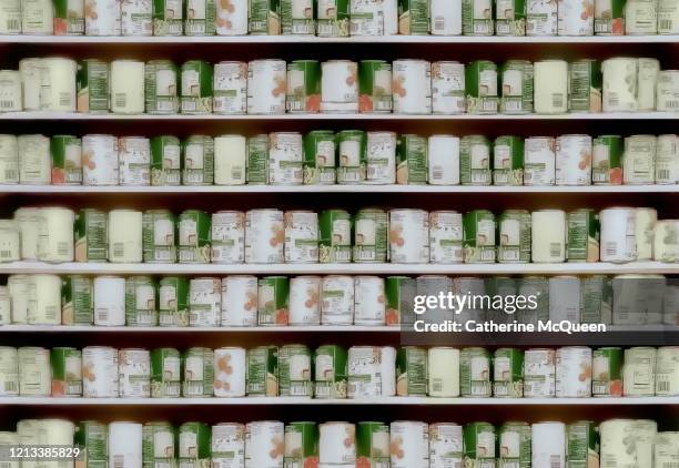 stocked kitchen pantry shelves - voorraadkast stockfoto's en -beelden