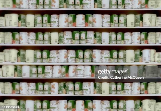 stocked kitchen pantry shelves - stacked canned food stock pictures, royalty-free photos & images
