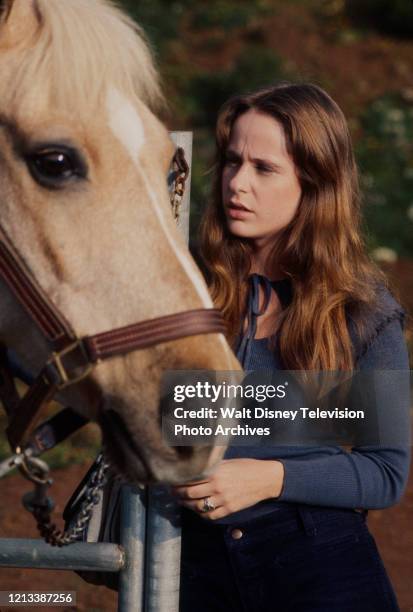 Glynnis O Connor Movies And Tv Shows Glynnis Oconnor Photos and Premium High Res Pictures - Getty Images