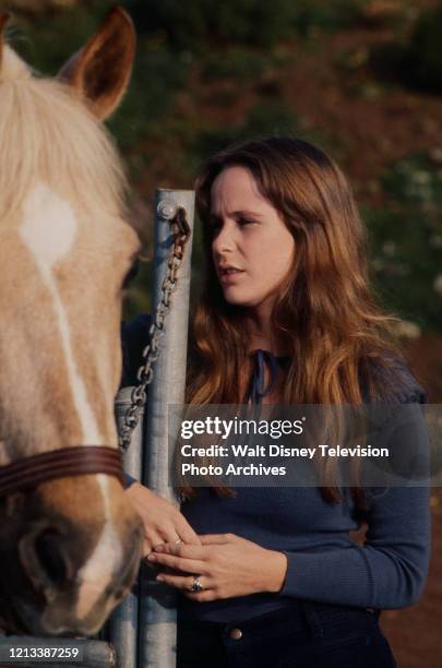 Glynnis O Connor Movies And Tv Shows Glynnis Oconnor Photos and Premium High Res Pictures - Getty Images