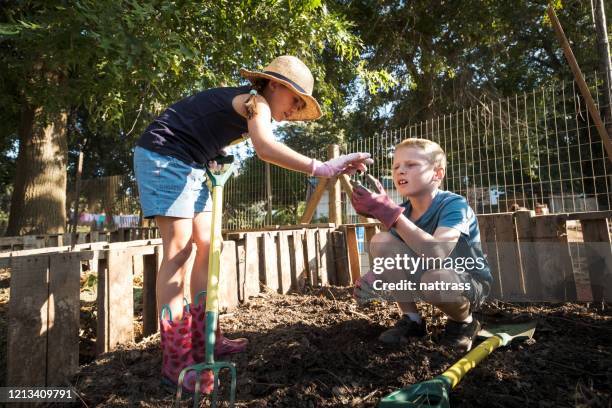 kids working in the compost heap - worm stock pictures, royalty-free photos & images