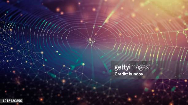network connection and technology background concept. photo of spider web with lines and dots symbol. - teia de aranha imagens e fotografias de stock