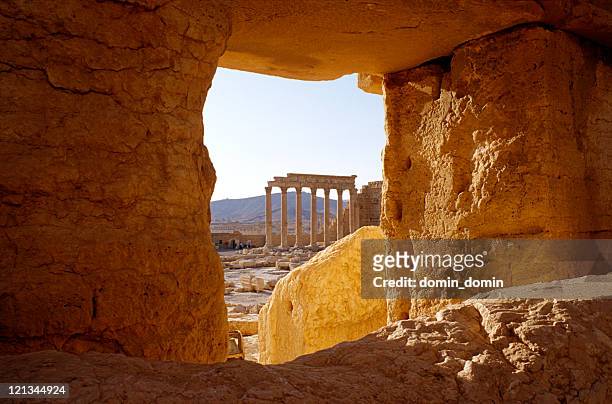 ver nas ruínas de um antigo em palmyra, central síria - syrian imagens e fotografias de stock