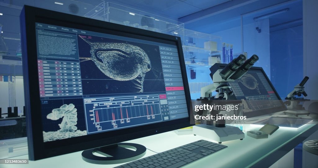 Science Laboratory Water Flea Daphnia On Computer Screen High-Res Stock ...