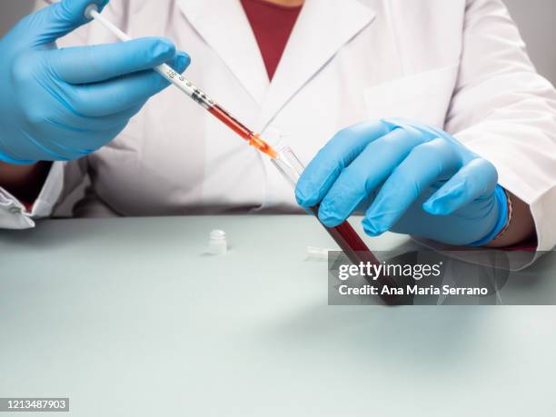 a female doctor or scientist analyzing a human blood sample - groupe sanguin photos et images de collection