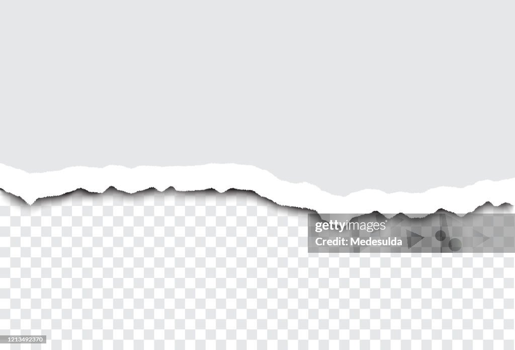Torn Paper Vector