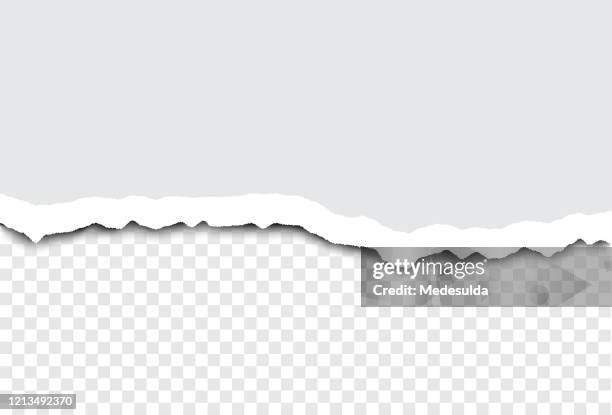 ilustrações de stock, clip art, desenhos animados e ícones de torn paper vector - rasgado
