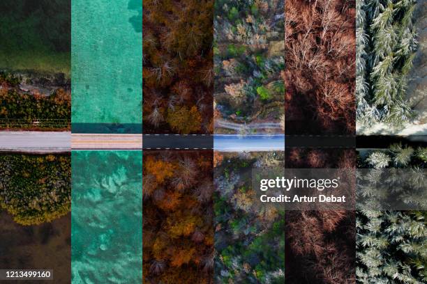 collage with roads from above in different seasons of year. - abigarrada fotografías e imágenes de stock