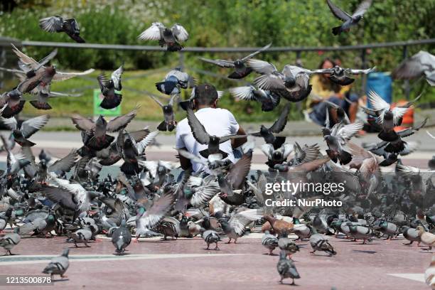 Man gives food to the pigeons in Plaza Catalunya on the first day of phase 0.5 of deconfinement, in Barcelona, Spain on 18th May 2020.