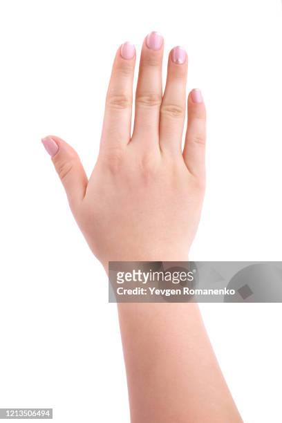 female hand with french manicure, isolated on white background - menschlicher arm stock-fotos und bilder