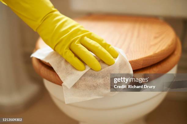 mature woman wiping down a toilet seat - bathroom clean closeup stock-fotos und bilder