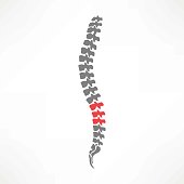 Spine Diagnostics Symbol Design. Spine Pain Illustration.