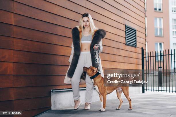long haired blonde, wearing a sport suit, a white jacket with fur. gracefully holding a pitbull by wide leash chain. posing around modern wooden background. - strong pitbull stock pictures, royalty-free photos & images