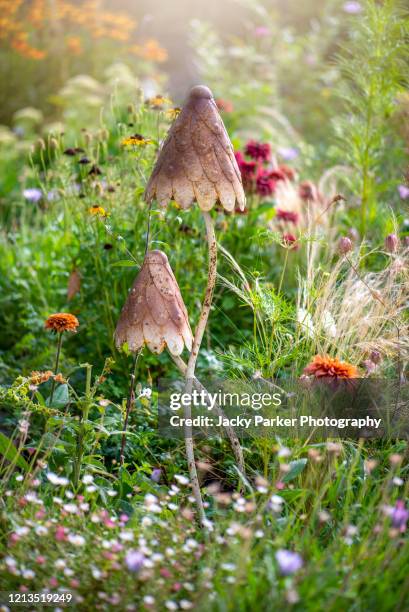 a pretty garden feature of two metal brown mushrooms in an english country garden - hampshire england 個照片及圖片檔