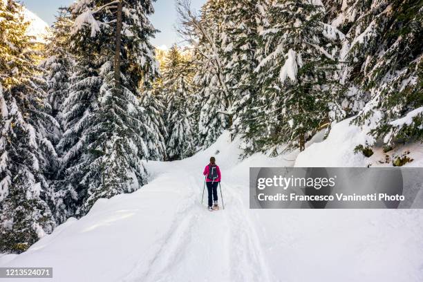 snowshoeing, valgerola, italy. - snowshoe stock pictures, royalty-free photos & images