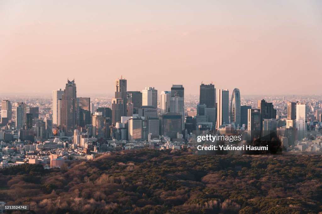 Tokyo skyline at dusk