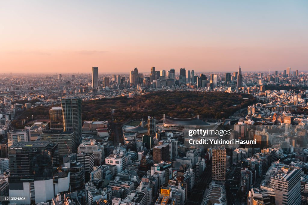 Tokyo skyline at dusk