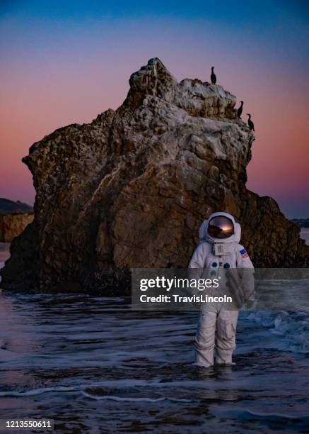 spaceman nel surf - locandina cinematografica foto e immagini stock