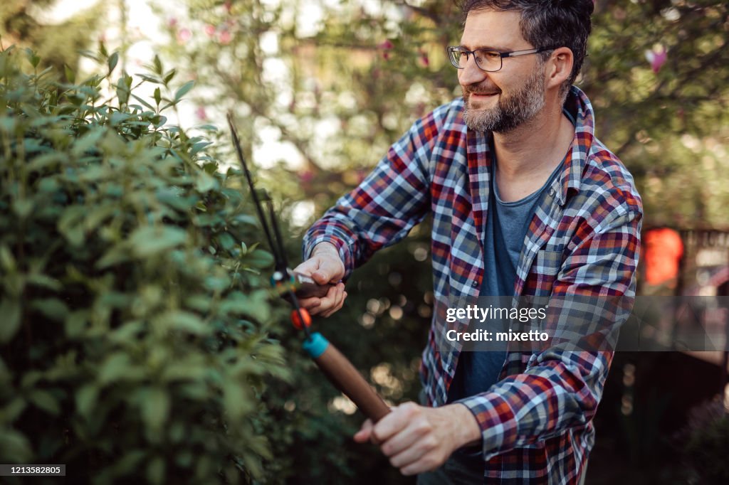 Hombre recortando seto durante un hermoso día