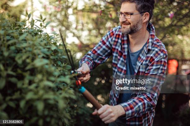 mens die haag tijdens mooie dag trimmen - hedge trimming stockfoto's en -beelden