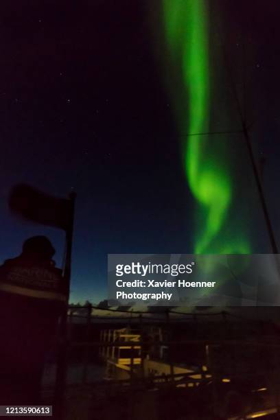 sub-antarctic light show - aurora australis stock pictures, royalty-free photos & images