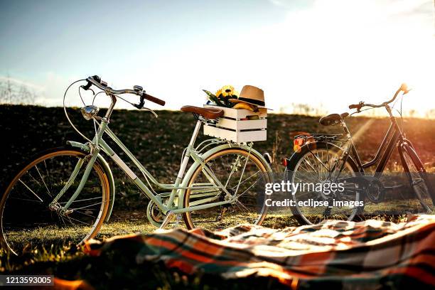 picknick in de natuur - summer picnic stockfoto's en -beelden