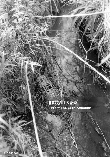 Fish Trap Army Example 45 Guam River Stock Photos, High-Res Pictures, and Images - Getty Images
