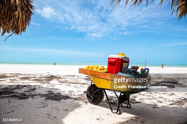 paradisiac beach in holbox island, mexico - holbox island stockfoto's en -beelden