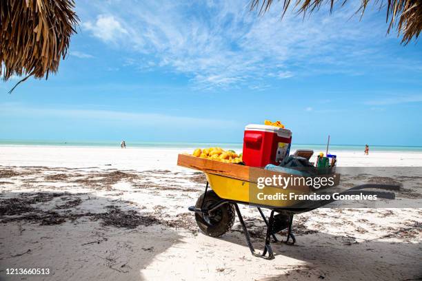 paradisiac beach in holbox island, mexico - isla holbox stock pictures, royalty-free photos & images