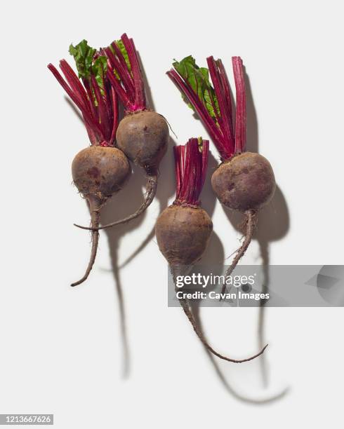 four red beets on white - beet root stock pictures, royalty-free photos & images