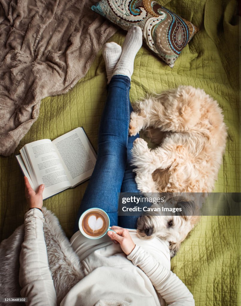 Overhead view of woman's torso on a bed with a book, coffee and a dog.