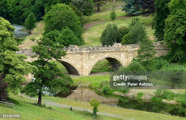 lion bridge - alnwick castle fotografías e imágenes de stock