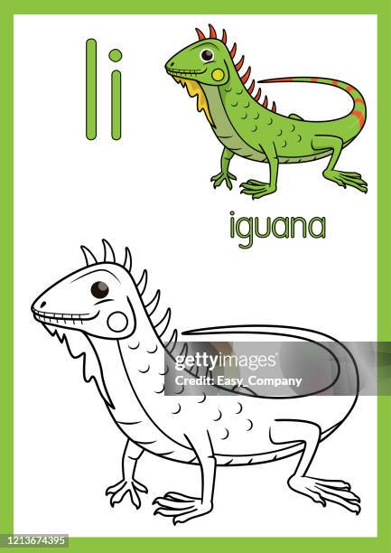 ilustraciones, imágenes clip art, dibujos animados e iconos de stock de ilustración vectorial de una iguana con alfabeto i para niños que aprenden practican abc en tamaño de papel a4 listo para imprimir. - colorear