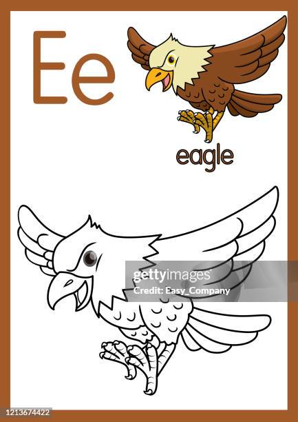 vector illustration of an eagle with alphabet e for children learning practice abc on a4 paper size ready to print. - hawk stock illustrations