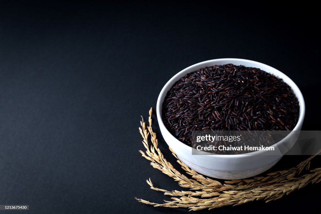 Thai black rice or rice berry in white ceramic bowl on black background. 45 degree angle. close up shot.