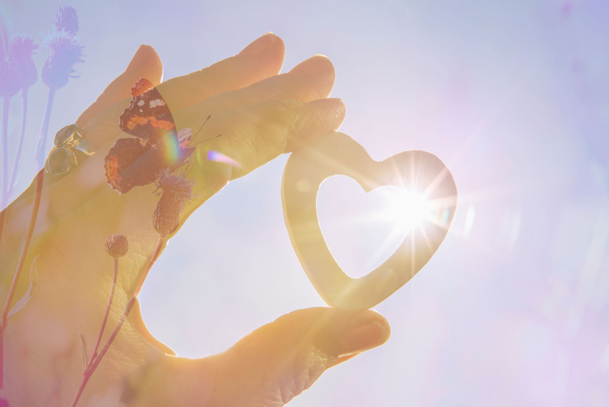 Balance between people and nature concept. Restoring balance in nature. Positive attitude concept. Person holding heart shape, sun star effect on background. Balance between people and nature concept. Restoring balance in nature. Positive attitude concept. Person holding heart shape, sun star effect on background.