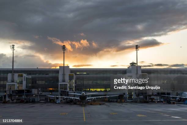 airplanes docked at munich airport terminal at sunset - munich airport stock-fotos und bilder