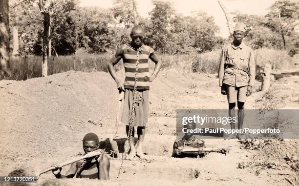 Chained prisoners digging graves, watched by their guard , near Brazzaville in the Congo, circa 1910.