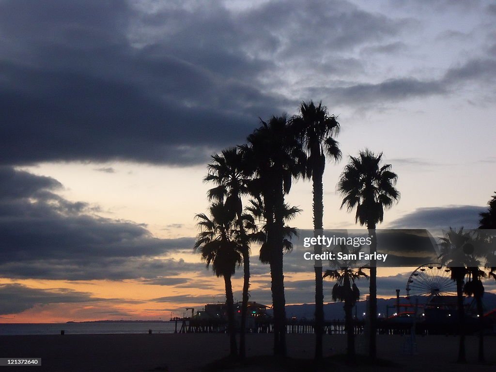 Sunset and palm trees in Santa Monica