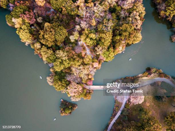 luchtmening van centraal parkmeer in de herfst - above central park stockfoto's en -beelden