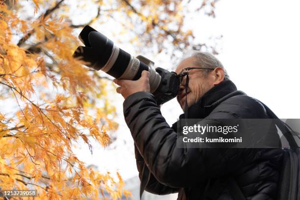 senior man enjoying autumn - senior photographer stock pictures, royalty-free photos & images